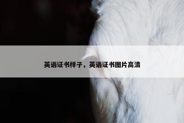 英语证书样子，英语证书图片高清