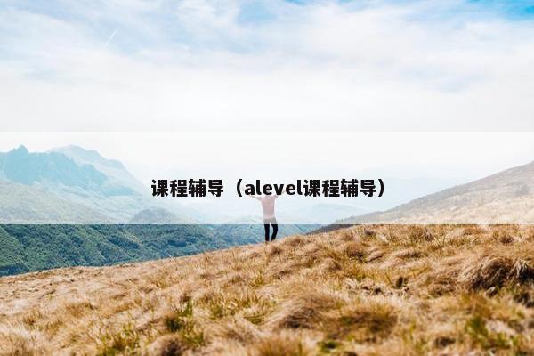 课程辅导（alevel课程辅导）