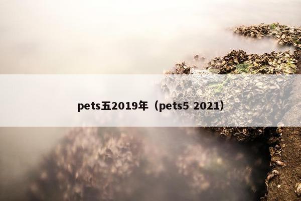 pets五2019年（pets5 2021）