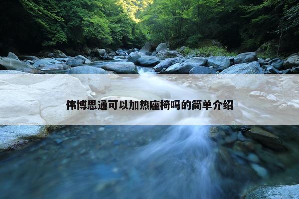 伟博思通可以加热座椅吗的简单介绍