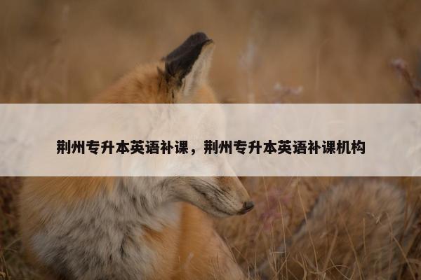 荆州专升本英语补课，荆州专升本英语补课机构