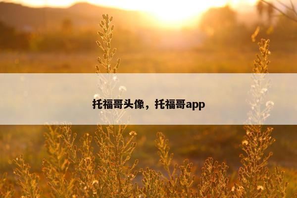 托福哥头像，托福哥app