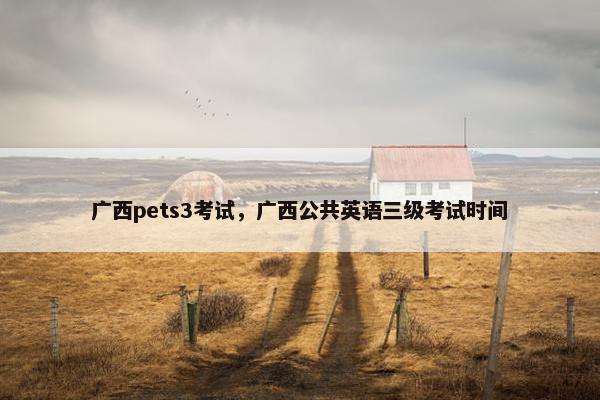 广西pets3考试，广西公共英语三级考试时间