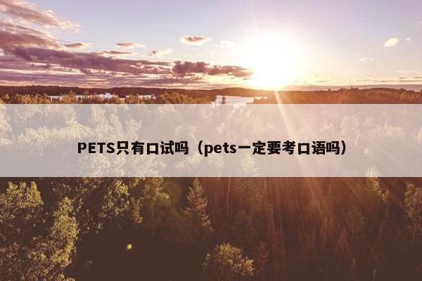 PETS只有口试吗（pets一定要考口语吗）