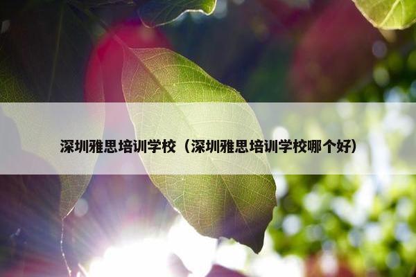深圳雅思培训学校（深圳雅思培训学校哪个好）