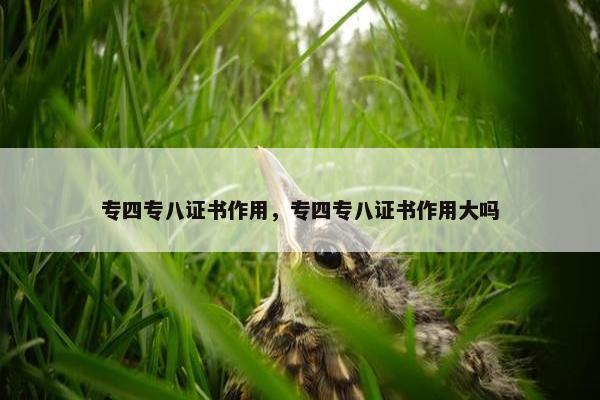 专四专八证书作用，专四专八证书作用大吗