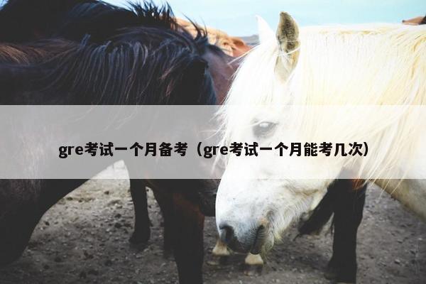 gre考试一个月备考（gre考试一个月能考几次）