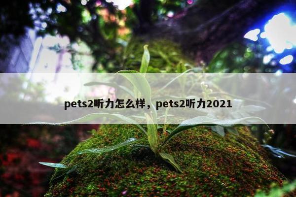 pets2听力怎么样，pets2听力2021
