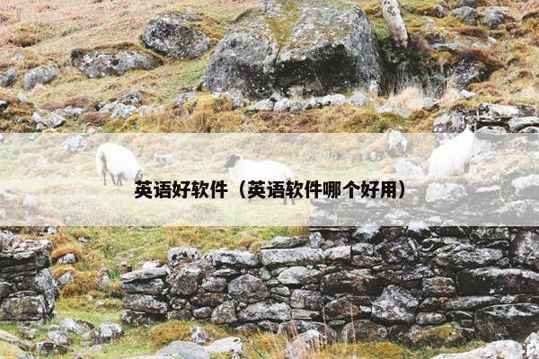 英语好软件（英语软件哪个好用）