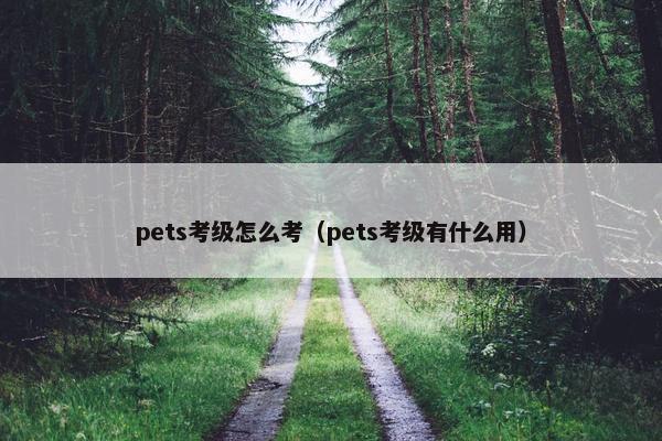 pets考级怎么考（pets考级有什么用）