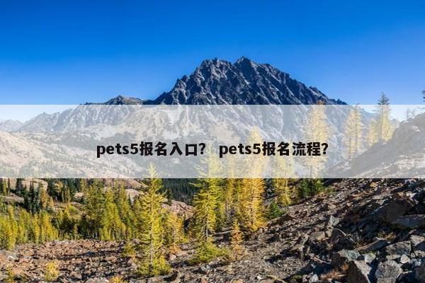 pets5报名入口？ pets5报名流程？