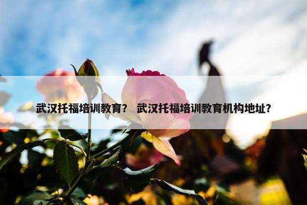 武汉托福培训教育？ 武汉托福培训教育机构地址？