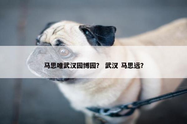 马思唯武汉园博园？ 武汉 马思远？