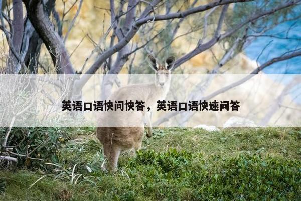 英语口语快问快答，英语口语快速问答
