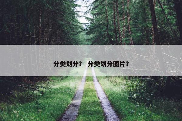分类划分？ 分类划分图片？