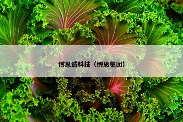 博思诚科技（博思集团）