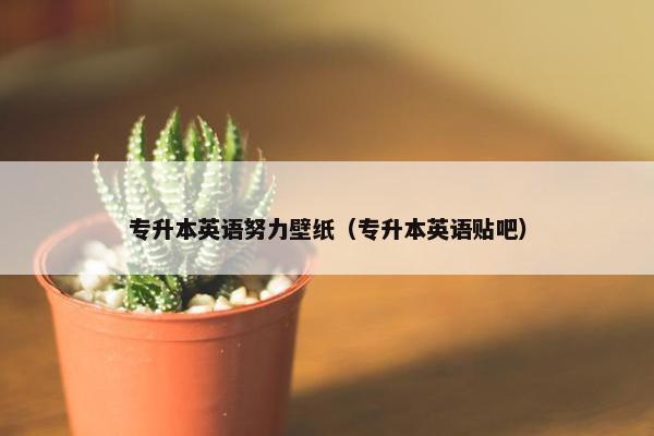 专升本英语努力壁纸（专升本英语贴吧）