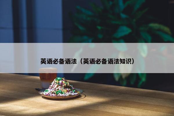 英语必备语法（英语必备语法知识）