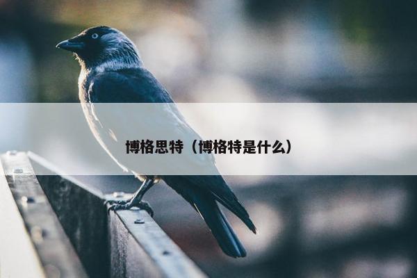 博格思特（博格特是什么）