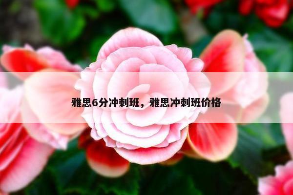 雅思6分冲刺班，雅思冲刺班价格