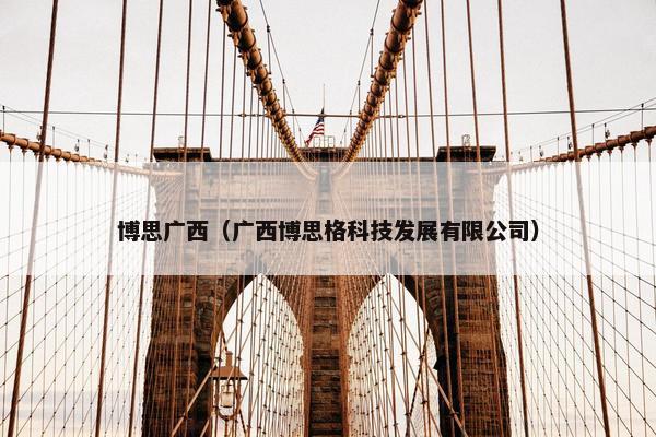 博思广西（广西博思格科技发展有限公司）