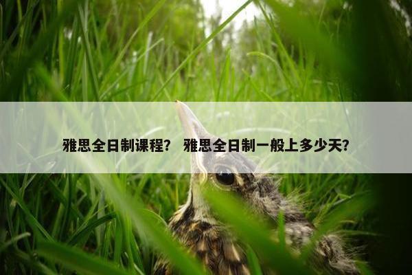 雅思全日制课程？ 雅思全日制一般上多少天？