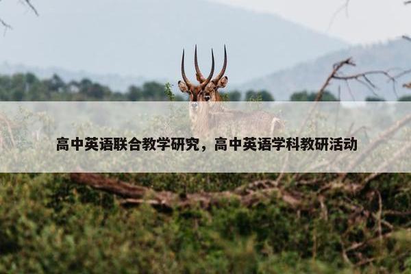 高中英语联合教学研究，高中英语学科教研活动