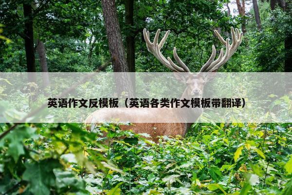 英语作文反模板（英语各类作文模板带翻译）