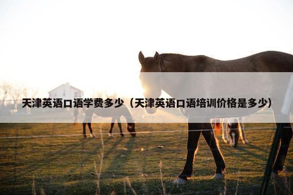 天津英语口语学费多少（天津英语口语培训价格是多少）