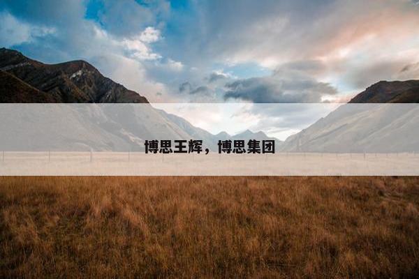 博思王辉，博思集团