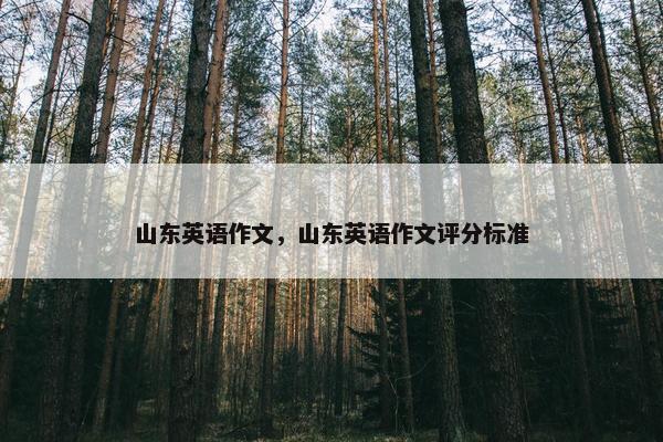 山东英语作文，山东英语作文评分标准