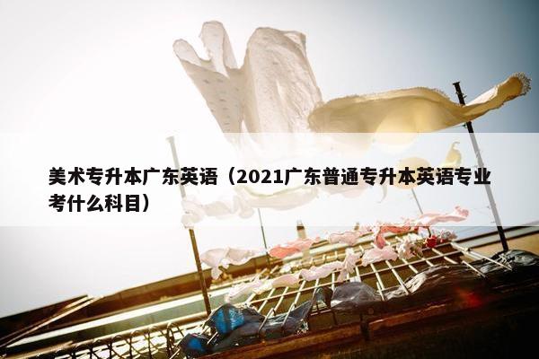 美术专升本广东英语（2021广东普通专升本英语专业考什么科目）