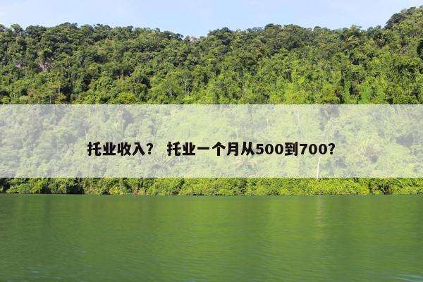 托业收入？ 托业一个月从500到700？
