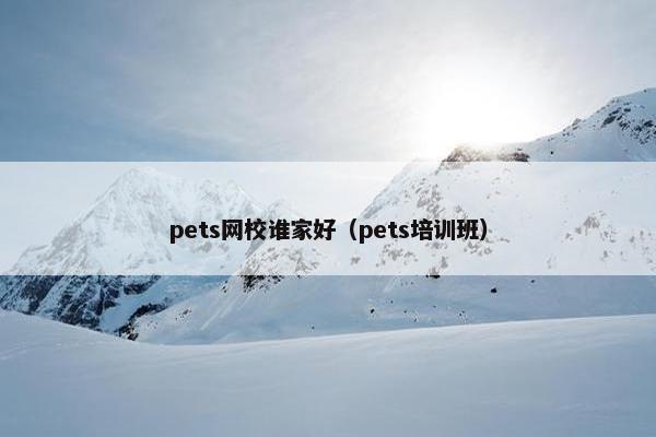 pets网校谁家好（pets培训班）