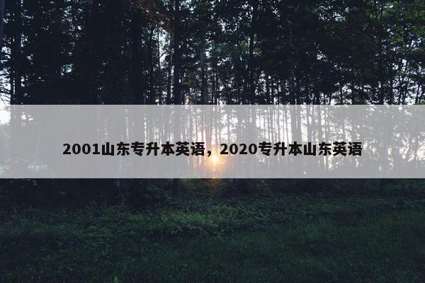 2001山东专升本英语，2020专升本山东英语