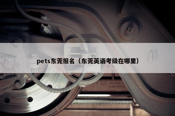 pets东莞报名（东莞英语考级在哪里）