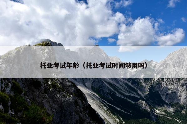 托业考试年龄（托业考试时间够用吗）