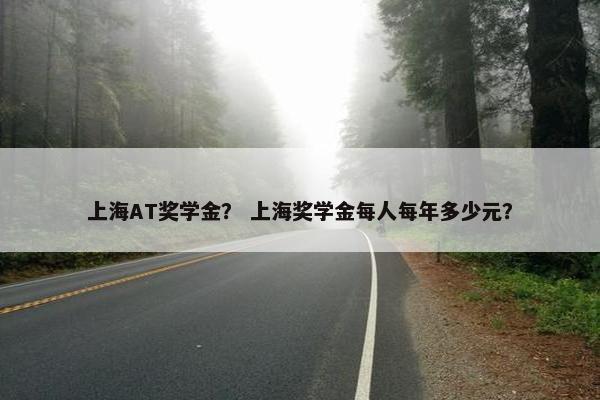 上海AT奖学金？ 上海奖学金每人每年多少元？