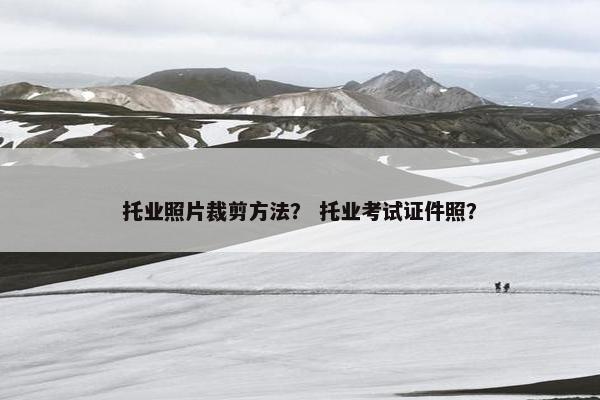 托业照片裁剪方法？ 托业考试证件照？