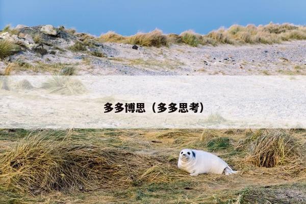 多多博思（多多思考）
