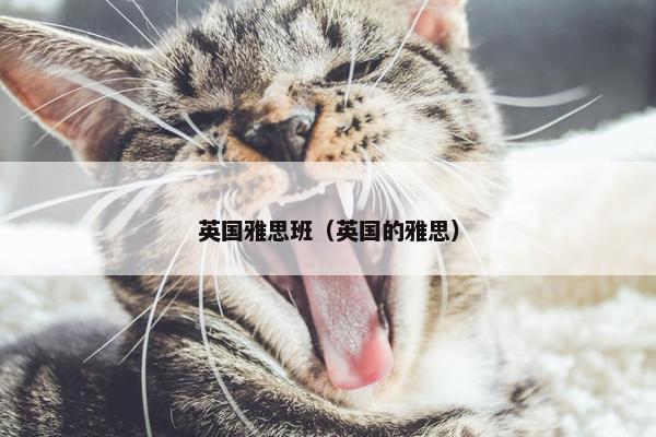 英国雅思班（英国的雅思）