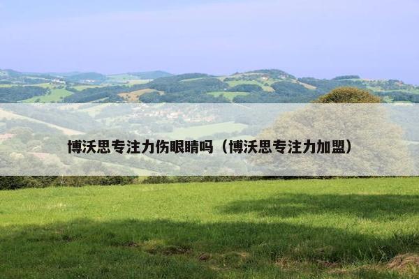 博沃思专注力伤眼睛吗（博沃思专注力加盟）