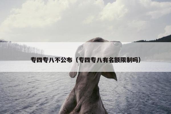 专四专八不公布（专四专八有名额限制吗）