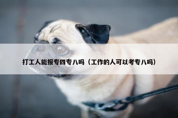 打工人能报专四专八吗（工作的人可以考专八吗）