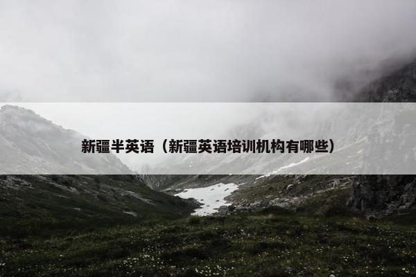 新疆半英语（新疆英语培训机构有哪些）