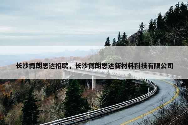 长沙博朗思达招聘，长沙博朗思达新材料科技有限公司