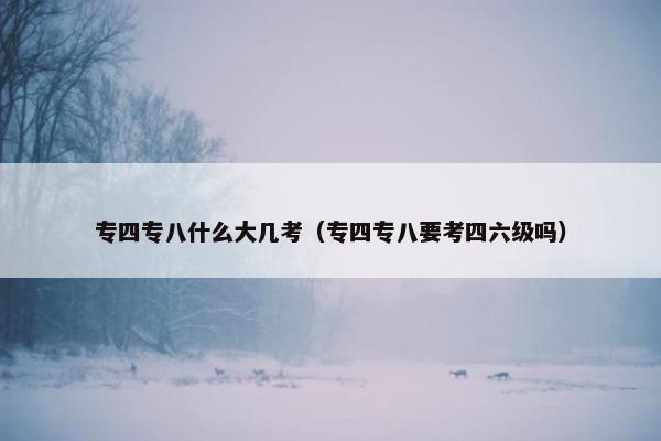 专四专八什么大几考（专四专八要考四六级吗）