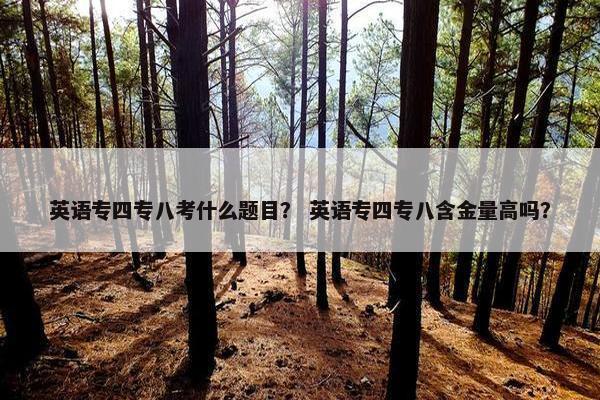 英语专四专八考什么题目？ 英语专四专八含金量高吗？