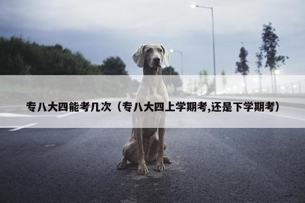 专八大四能考几次（专八大四上学期考,还是下学期考）