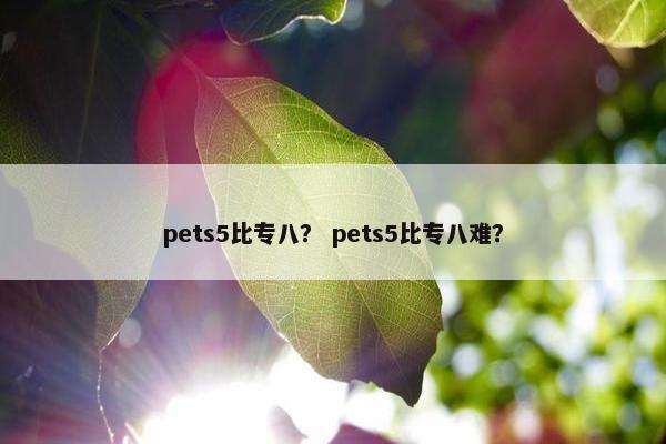pets5比专八？ pets5比专八难？